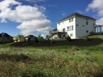 Installed mulch and trees on hillside to reduce steep mowing area and create privacy from nearby park.
